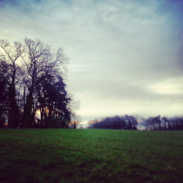 Bon matin