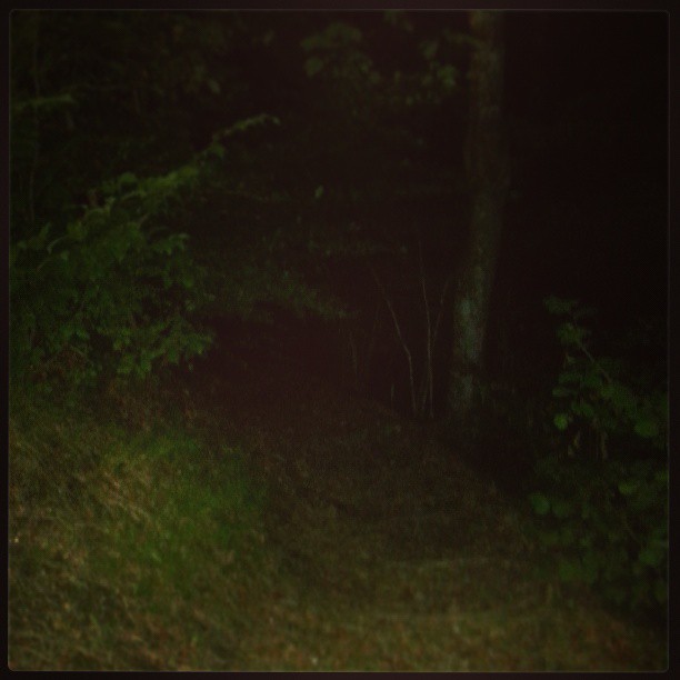 Marcher dans la nuit #2