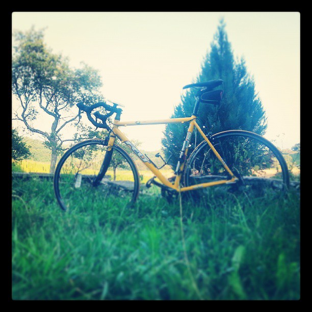 Nouveaux réglages, nouveaux rayons, nouvelle potence,... Rochat Cycles à Aubonne ça défonce !!! #cycling #switzerland